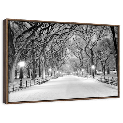 Central Park White Winter
