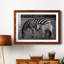 " Botswana Afternoon "-33906371-33906383