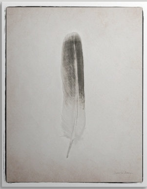 « plumes ii noir et blanc » par marie van swearingen, impression, H 30 po x l 24 po x P 1,5 po, Toile