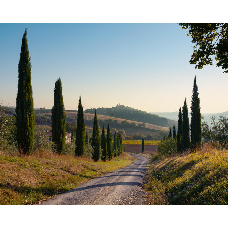 Lost In Tuscany - Picture Frame Photograph on Paper , 36" H x 43" W, White Framed