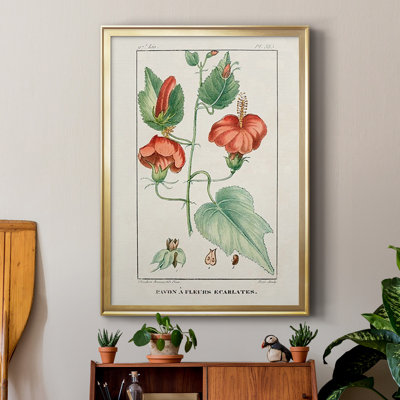 " Turpin Tropical Botanicals IV "