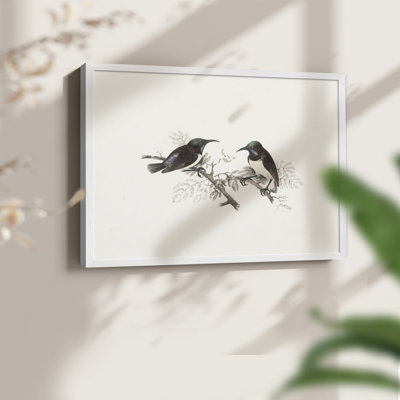 Faune rétro-XXIII - reproduction encadrée - réaménageable