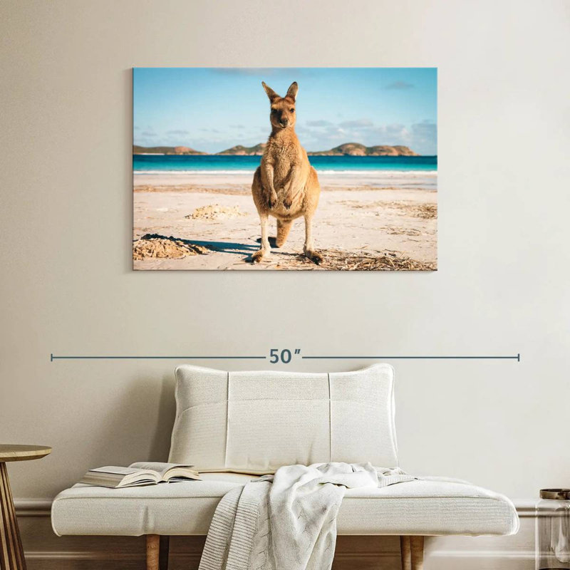 Kangourou Crowle Lucky Bay, H 26 po x l 39 po