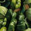 Tapisserie murale légumes Tomatillo-133639071