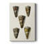 Cone Shell Collection V - galerie sur mesure-118068815
