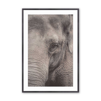 Wise Gaze Print, in a Frame,