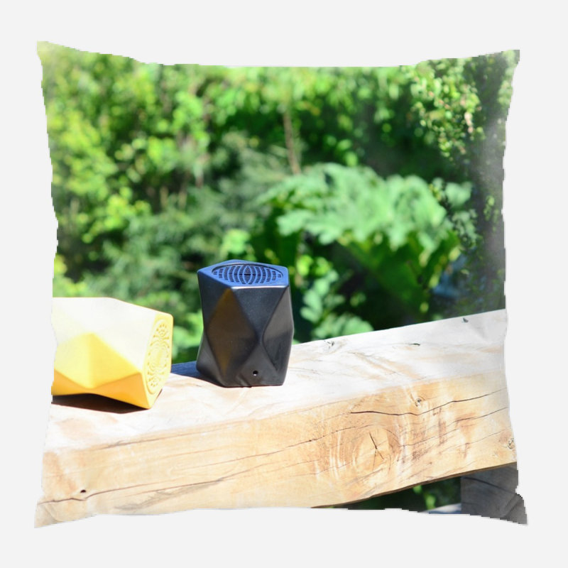 Coussin de haut-parleur