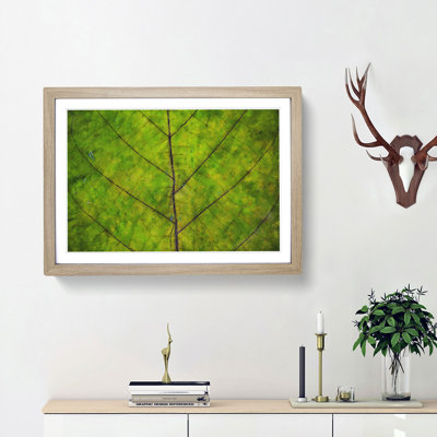 Lines of the Leaf - Picture Frame Graphic Art Print