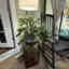 Customer photo 3 of 3