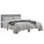 Diodorus Bed-1842726933-1842726954