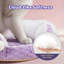 Lit de chat 19,7 po Moonlight Soft Bounce