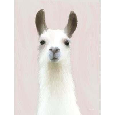 Llama Love by House Fenway
