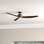 Ventilateur de plafond d'intérieur encastré à profil bas en bronze cuivré 44 po Pelham avec pales espresso foncé, ensemble d'éclairage à DEL à intensité variable et télécommande inclus, 6 vitesses, moteur à courant continu écoénergétique
