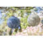 12'' Solar Powered Integrated LED Globe Lantern