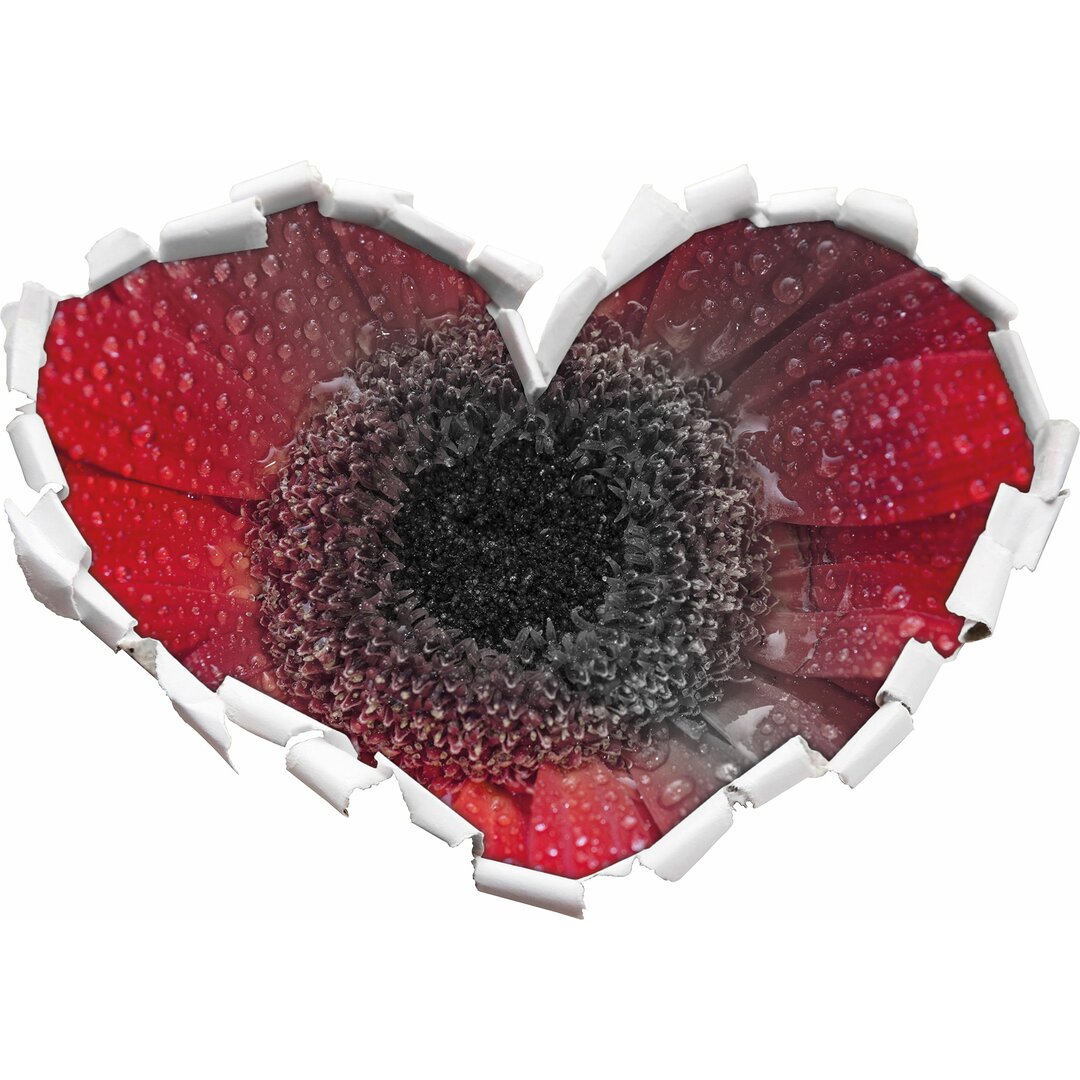 Wandtattoo Rote Gerbera mit Wassertropfen