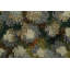 One-of-a-Kind 3’2x4’11 Hand Knotted Area Rug