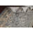 Wool Oriental Indoor Rug