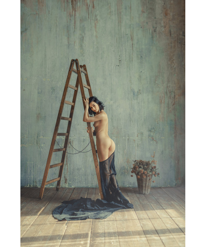 Wrapped Canvas Print, 60.96 cm H x 91.44 cm W
