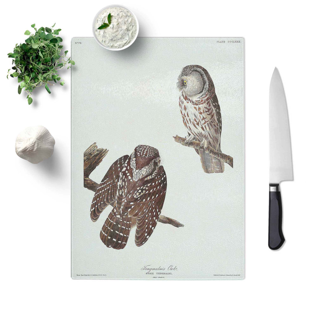 Tempered Glass Tenmalms Owls by John James Audubon Chopping Board