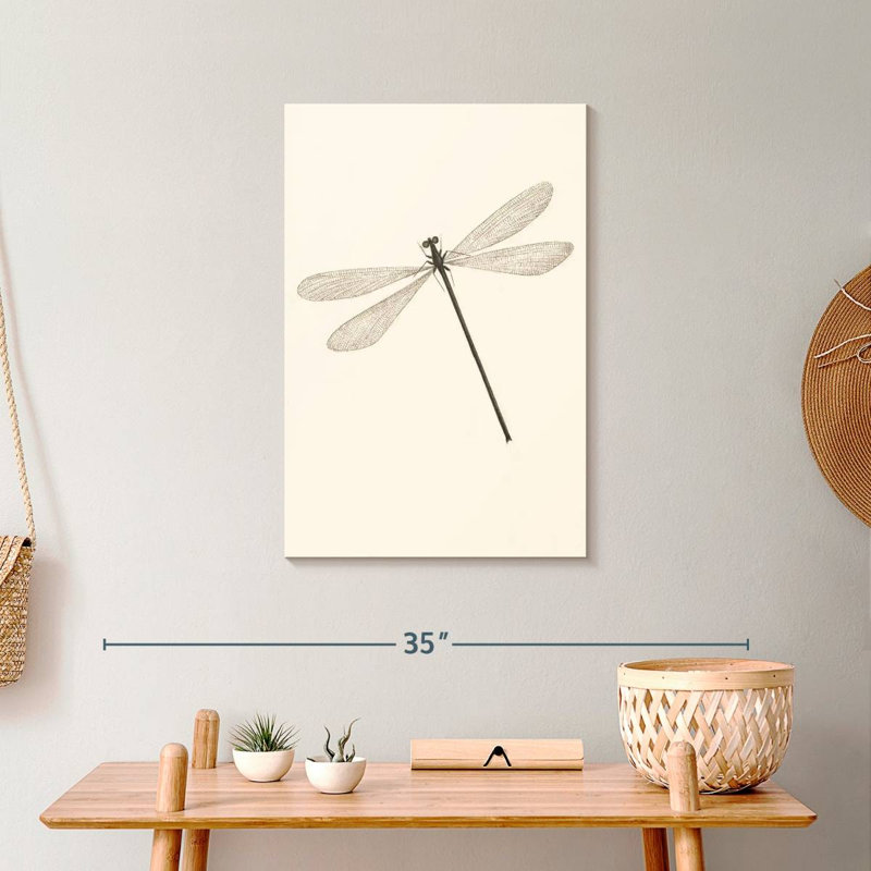 A Classic Dragonfly, 24" H x 16" W
