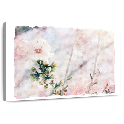 Aquarelle fleur de cerisier blanc