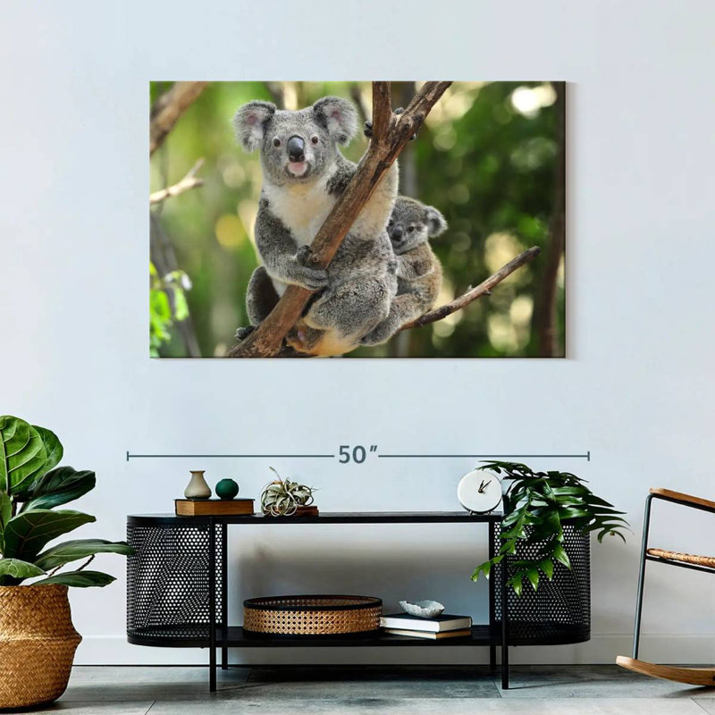 Australian Koala Bears, 30" H x 45" W