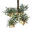29" Wide 5 Light Chandelier