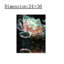 "Blooming", art mural sur toile sans cadre 24 "x 36"