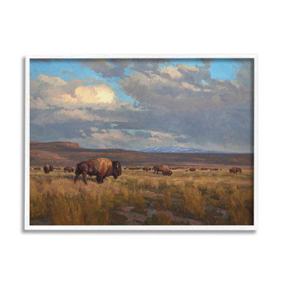 Az-385 - Paysage nuageux Buffalo