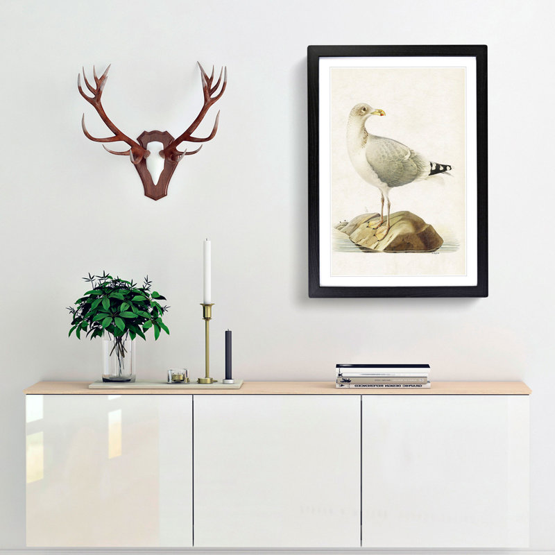 European Herring Gull by Von Wright - Picture Frame Painting Print, 36cm H x 27cm W x 2cm D, Black Framed