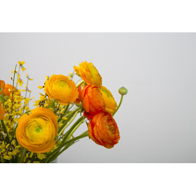 " Ranunculus In The Flower Vase On A Wooden Table " by Npdesignde