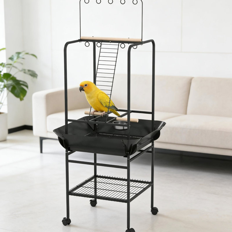 Cage à oiseaux avec roulettes pour gardiens de perroquet de petite taille, quatre supports, trois perchoirs, un cintre, deux bols en acier inoxydable, une étagère de rangement et un plateau de rangement, gestion du désordre, bois, gris foncé naturel