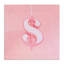 Toile rose pastel avec signe du dollar, design par Lish Creative-1746112138