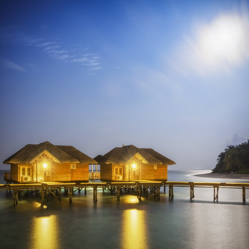Exotic Full Moon Night par Cinoby, H 36 po x l 36 po