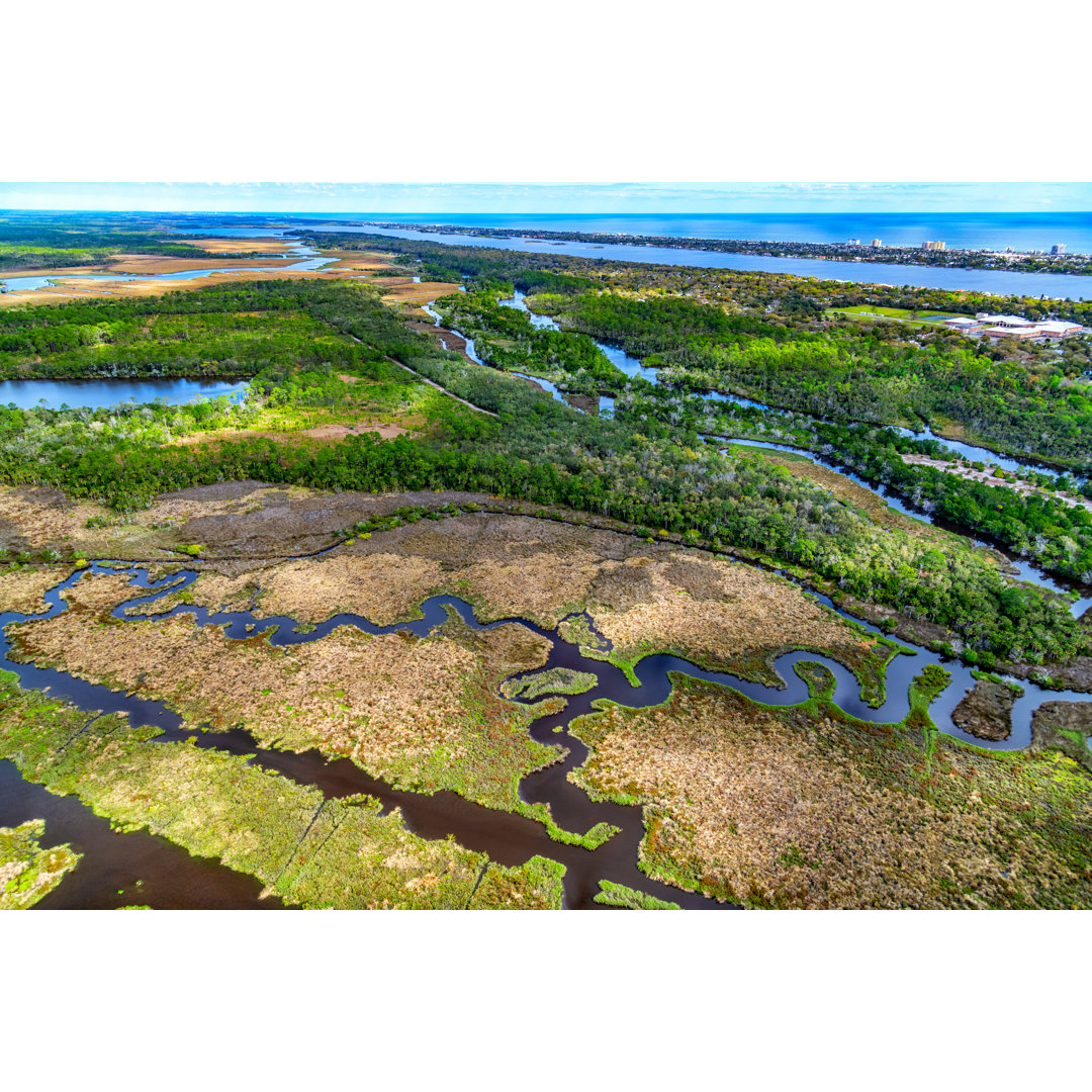 Florida Küstenlandschaft von Art Wager - Leinwandbild