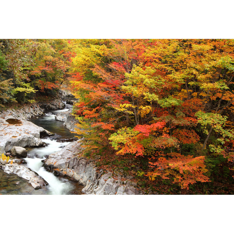 Couleurs d'automne de la vallée - Photographie sur toile tendue, H 12 po x l 18 po