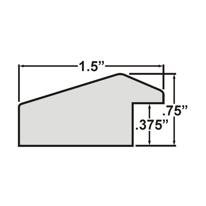Daelan Beveled Picture Frame - Set of 2, 11" x 14", Black Satin Mica