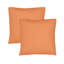 Ensemble de 2 coussins décoratifs d'extérieur Sunbrella®, coussins décoratifs carrés avec housses, coussins décoratifs-124659275-131992912