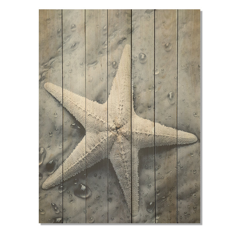 Gris gris minimaliste étoile de mer côtière - étoile de mer sur bois, H 44 po x l 34 po