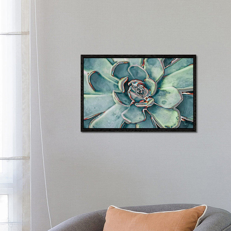 Teal Succulent 1 Piece Wall Art on Canvas, 66.04 cm H x 45.72 cm W, Black Framed