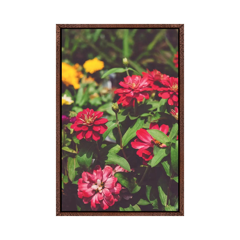 Be Mine by Bethany Young - Print on Canvas, 66.04cm H x 45.72cm W x 3.81cm D, Classic Brown Wood Framed