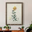 Toile encadrée de qualité supérieure Traditional Botanical III - prête à être accrochée-267675585-267675586