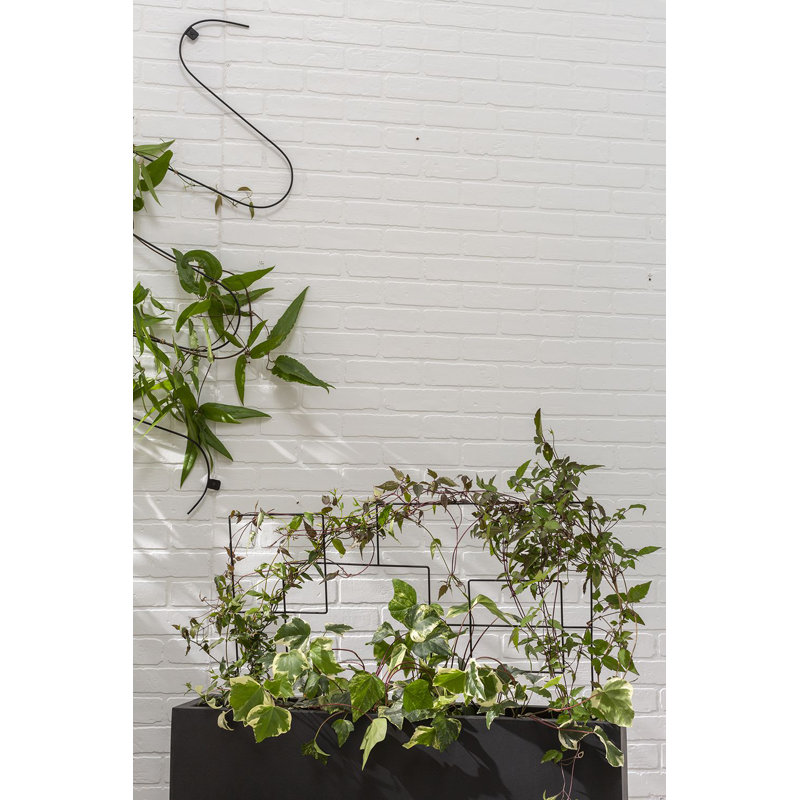 Support pour plante Nipomo