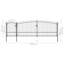 Pasternak 225cm H x 500cm W Black Metal Gate