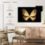 Brampt le papillon doré I-107709330