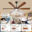 Ceiling Fan