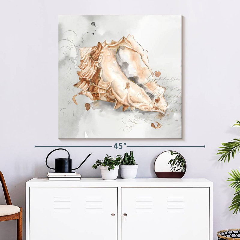 Aletra Blush Shell III