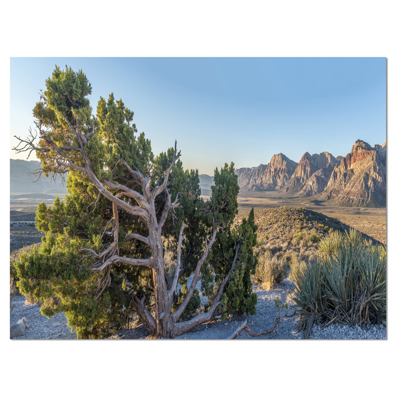 « large rock canyon panorama », reproduction de photo sur toile tendue, H 30 po x l 40 po x P 1 po