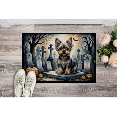Tapis d'entrée / extérieur antidérapant Noldi 27 po x 18 po