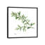 « thyme », reproduction d’art sur toile-20820160-72799976-72799981